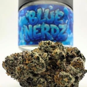 Premium Cannabis Blue Nerdz by Cannatique — top-shelf blue exotic Nerdz cannabis worldwide delivery