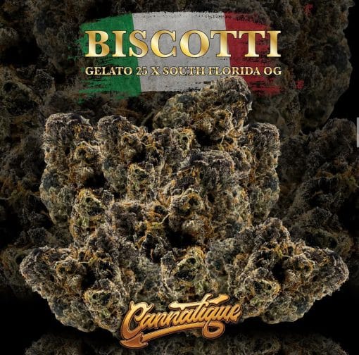 Cannatique exotic flower Biscotti Gelato 25 South Florida OG buy online