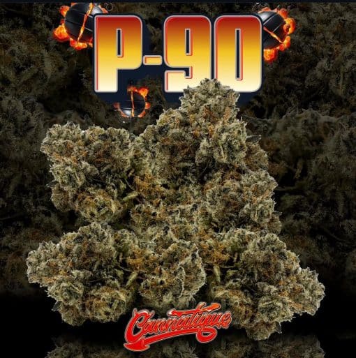 p-90-by-cannatique-powerful-premium-exotic-cannabis P-90 by Cannatique — powerful premium exotic cannabis worldwide delivery