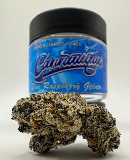 premium-blue-raspberry-gelato-cannatique-top-shelf-blue-raspberry Premium Blue Raspberry Gelato by Cannatique — top-shelf blue raspberry gelato exotic cannabis worldwide