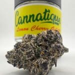 Premium Lemon Cherry Gelato Original by Cannatique premium LCG exotic cannabis worldwide