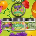 Premium Mamba Candy by Cannatique — top multi-fruit candy exotic cannabis worldwide delivery