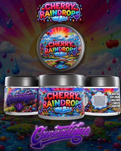 Cherry Raindrops by Cannatique exotic flower